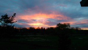 Today I will begin again, and practice listening deeply. (I definitely need the practice.)