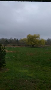 It is a rainy spring morning, like so many; I choose my perspective, I choose my path, and I choose when to begin again.