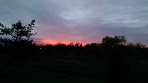 Begin again? I think I shall. 