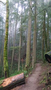 What are your obstacles made of? How do you overcome them?