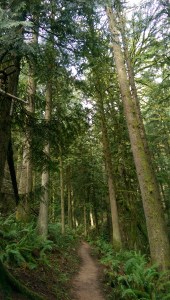 It's a journey. My journey. I am my own cartographer; it helps to be aware of the path.