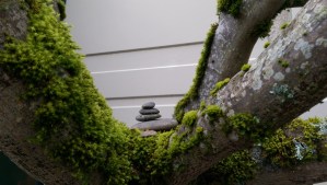 Will I find balance between listening, and questions?