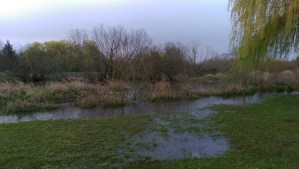 If I feel flooded, how do I find firm footing to maintain a feeling of safety?