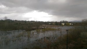 A rainy morning from another perspective.