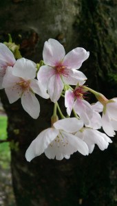 Enjoying this moment.