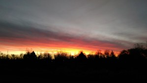 Today's sunrise wasn't this colorful. I am reminded that change is.