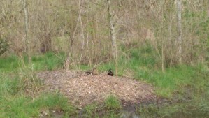 Take the time to enjoy the moment. 