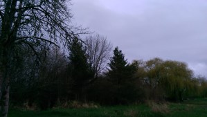 This lovely morning, every moment enough.