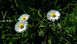 Love isn't fancy, or by nature expensive, and it does need our attention, and our consideration.