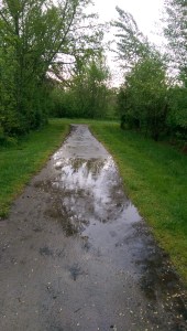 However straight and obvious life's path seems at a glance... I can't quite see where it leads.