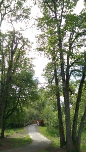 Where does this path lead?