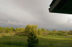 I spent the day watching storms, cartoons, and birds.