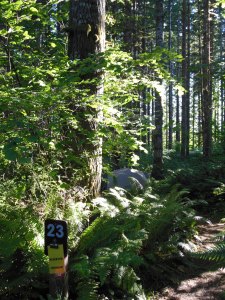 Camping will have to wait; being ill is best managed in comfort.