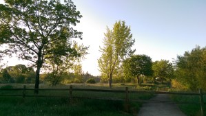 A detour? An obstacle? An opportunity? A choice.