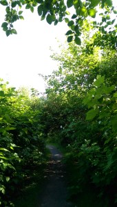 A new path, leading... where?