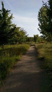 Where does the path I choose lead?