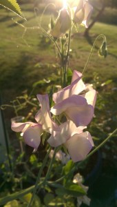 There is so much value in perspective.