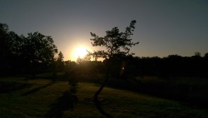 Sunrise. A chance to begin again, every time.