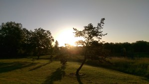 My assumptions can cast a long shadow over my experience.