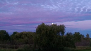 Pastel twilight, moon rising.