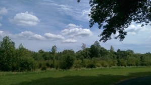 Yesterday's sunshine...no more real now than any other memory unless I savor it and make it my own.