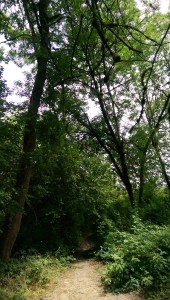 We choose our path, but sometimes the way ahead is not obvious until conditions are right.