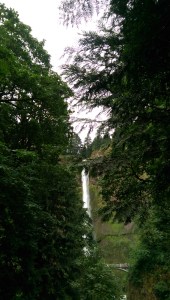 In spite of aggravation all around, there is still beauty.