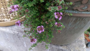 It's not just okay to take time for 'now' - there is real value in this moment. 