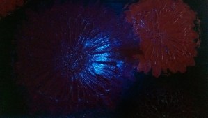 There is valuable perspective in taking time to look at things quite differently.