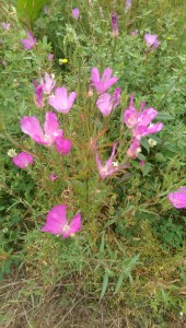 There's more to it than this moment.