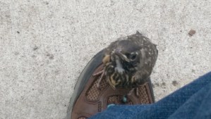 Practicing patience, self-soothing, and learning balance has unexpected delights.