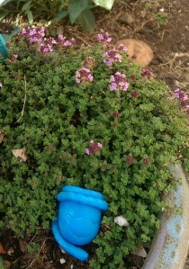 A good day to relax in the garden.