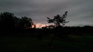 Day break. Time to begin again. :-)