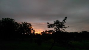 The sunrise is so brief, surely there is time to enjoy it?