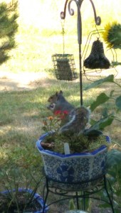 Contentment isn't so far out of reach; it's about being here, now, and recognizing it when I have enough.