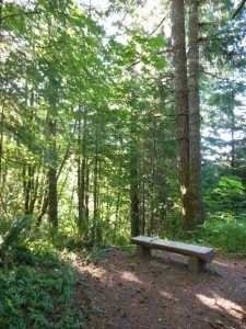 We each have an idea of what feels peaceful. :-)