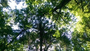 What am I seeking? Does it determine what I am able to find? 