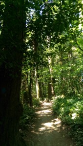 There's further to go.