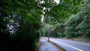 I felt rather reassured that on foot, the perceived steepness of the paved trail seems quite manageable.