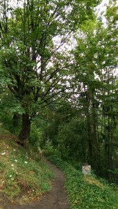 A route for another day.