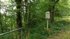 What's left of us when we're gone?