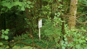 Some of the exercise stations are well back into the trees, and quite overgrown.