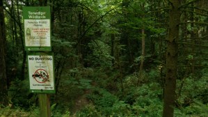 More forest, please.