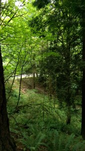 Looking back from around the next bend.