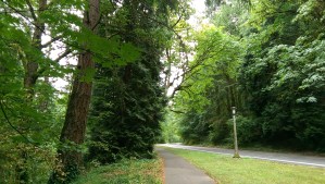 Approaching the final peak on this trail (in this direction).