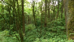 Unexpectedly pointless...