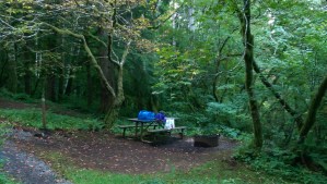 When I arrived with the sun there was just one site available.