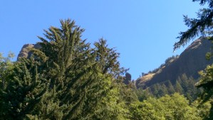 Perspective comes in all shapes and sizes.