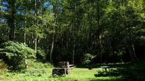 Beautiful day for a picnic.