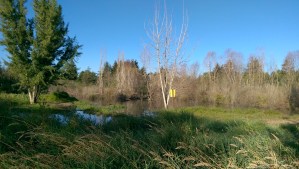 Life's helpful signage sometimes isn't very helpful at all...